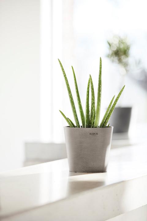 Image du produit Ecopots Amsterdam Mini (17 cm)