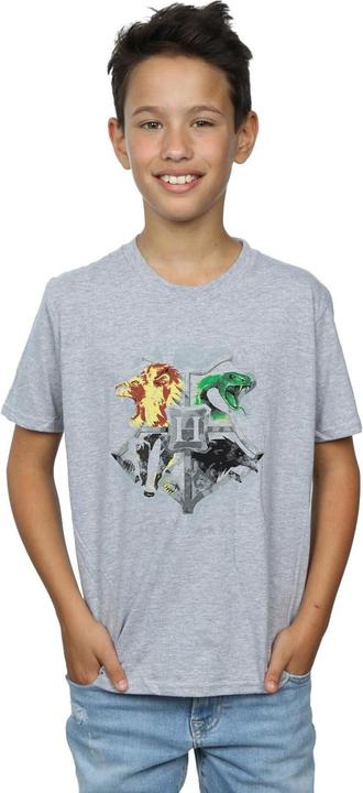 Produktbild Hogwarts Painted Crest TShirt Jungen (140, 146)