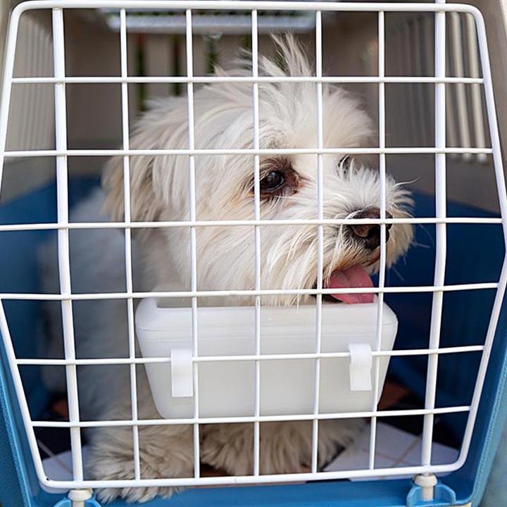 Image du produit Ferplast Atlas Open (Chien, Chat, Verrouillable, Respirant)
