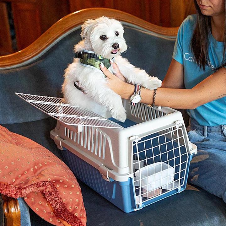 Image du produit Ferplast Atlas Open (Chien, Chat, Verrouillable, Respirant)