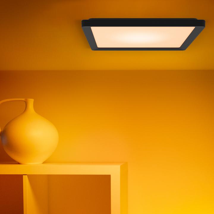 Image du produit WiZ Ceiling (1600 lm)