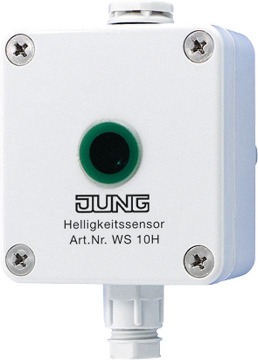 JUNG Capteur de luminosité KNX AP 0-60000lx 1 canal WS10H