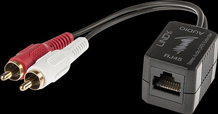 Actual product image Lindy Cat.5/6 100m 2x RCA (Extender)