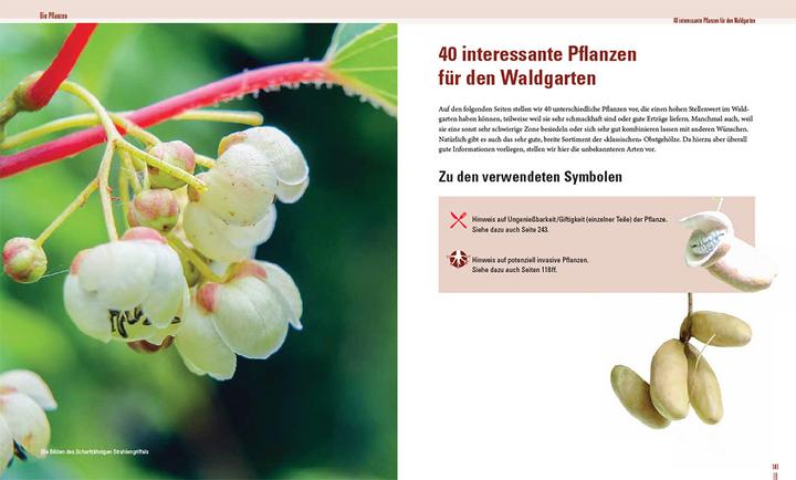 Produktbild Praxisbuch Waldgarten (Deutsch, Volker Kranz, Frederik Deemter, 2024)