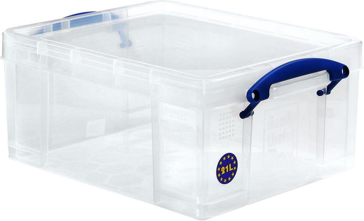 Immagine prodotto Really Useful Box Box utile (45 x 35 x 20 cm, 21 l)