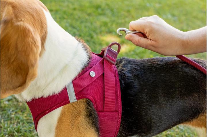 Actual product image Curli Harness Vest Air-Mesh M, Moss (M, Dog, General)