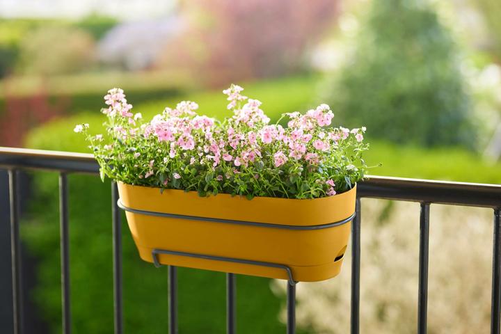 Produktbild Elho Vibia Campana Balkonkasten Allin1 (26 cm)