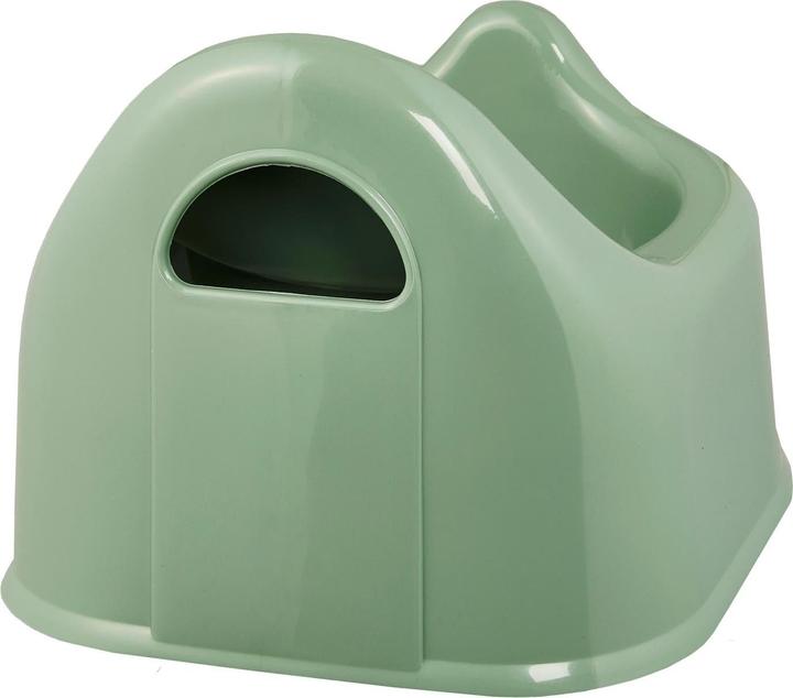 Actual product image Rotho Babydesign Bella Bambina Children's Pot