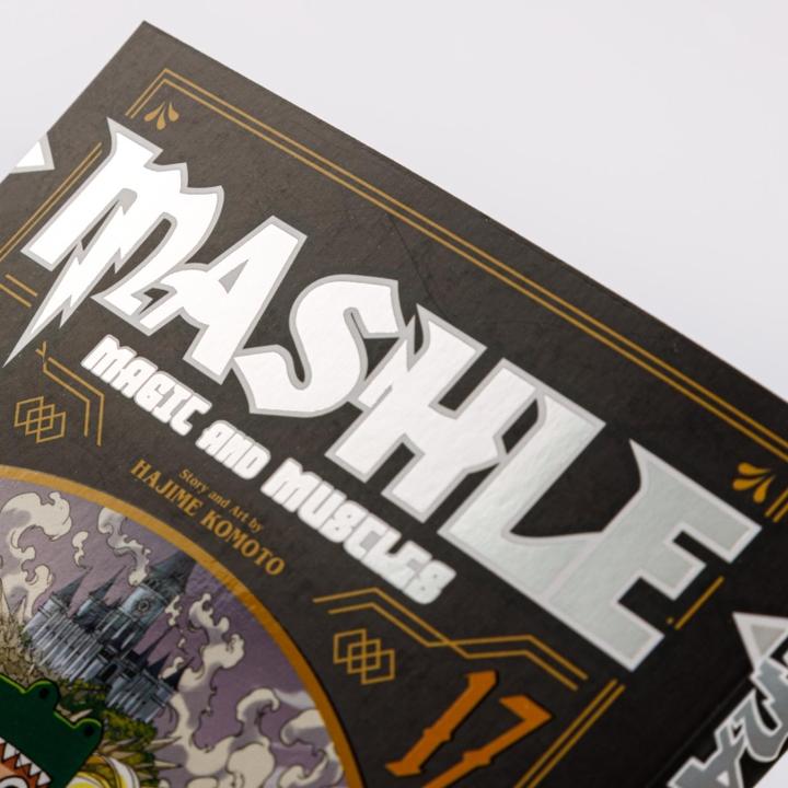 Produktbild Mashle: Magic and Muscles 17 (Deutsch, Hajime Komoto, Katrin Stamm, 2025)