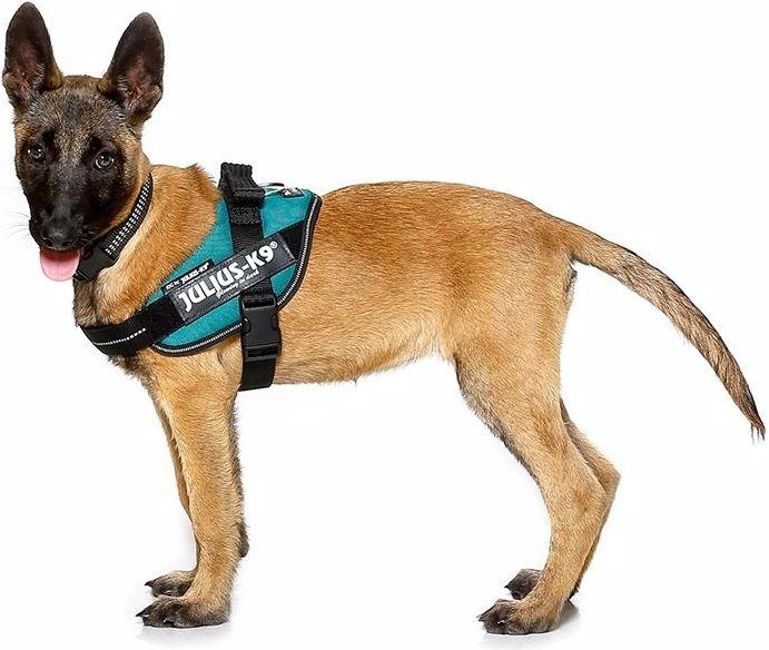 Produktbild Julius-K9 Idc (2, Hund, Hundesport, Jogging, Spazieren, Arbeit)