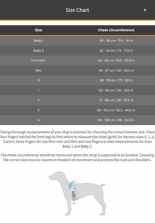 Produktbild Julius-K9 Idc (2, Hund, Hundesport, Jogging, Spazieren, Arbeit)
