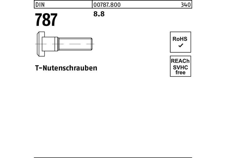 Actual product image T-bolt DIN 787 20 M 20 x 125 8.8