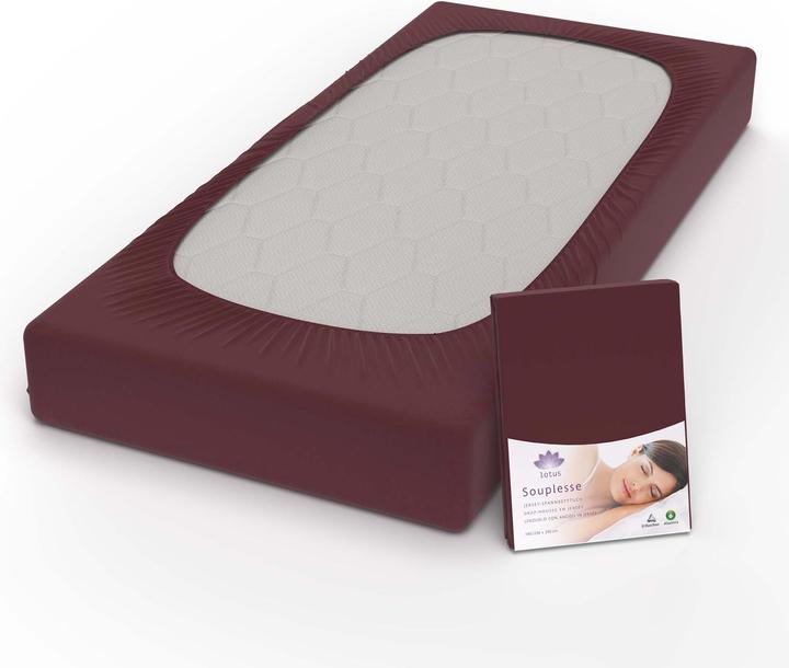 Produktbild Lotus Bettwaren Jersey Fixleintuch Souplesse (200 x 220 cm)