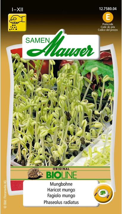 Actual product image Samen Mauser Organic food seedlings mung bean (Seedlings)