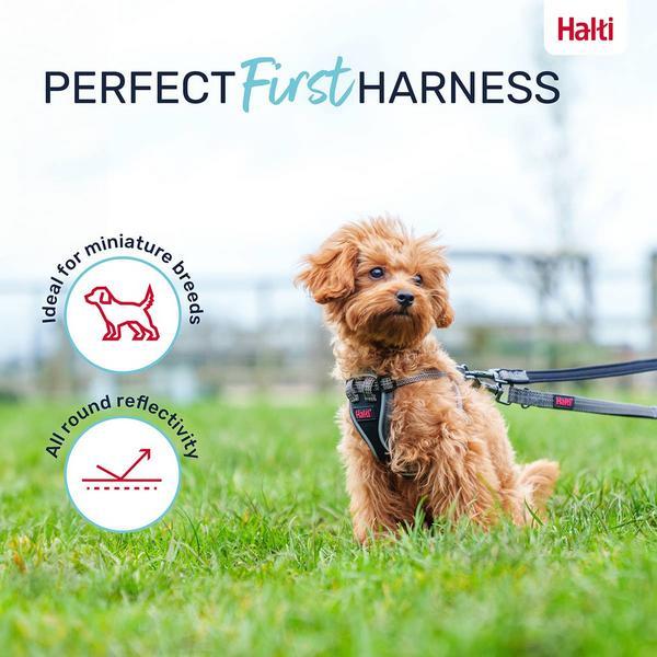 Actual product image Company of Animals Halti Anatomy XXS puppy harness (XXS, Dog)