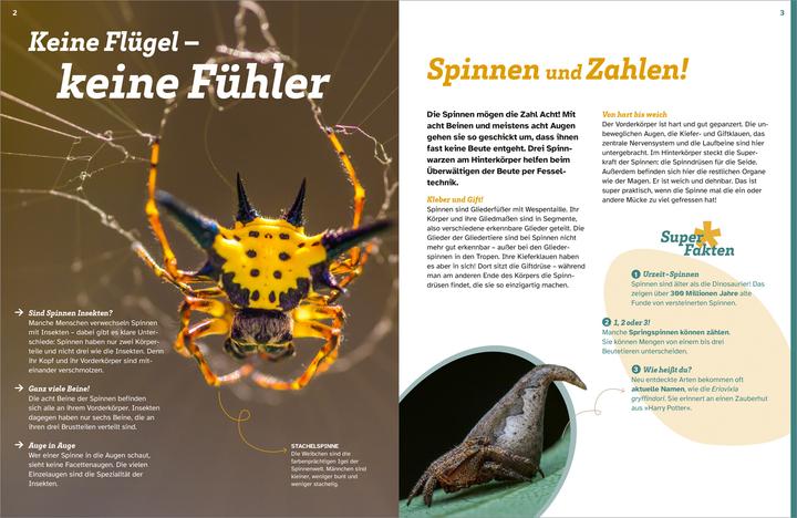Produktbild Tessloff WAS IST WAS Spinnen. Akrobaten auf acht Beinen (Deutsch, Inga Marie Ramcke, 2024)