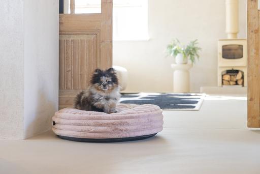 Produktbild Designed by Lotte Liegekissen Reza (Hund)