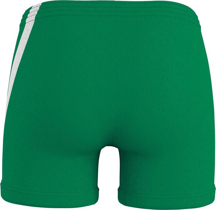 Image du produit Errea Amazon 3.0 Short Ad Women (L)
