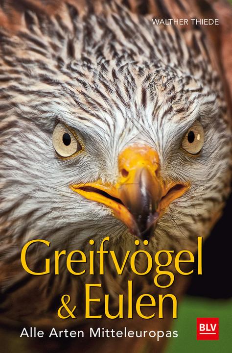 Immagine prodotto Greifvögel & Eulen (Tedesco, Walther Thiede, 2019)