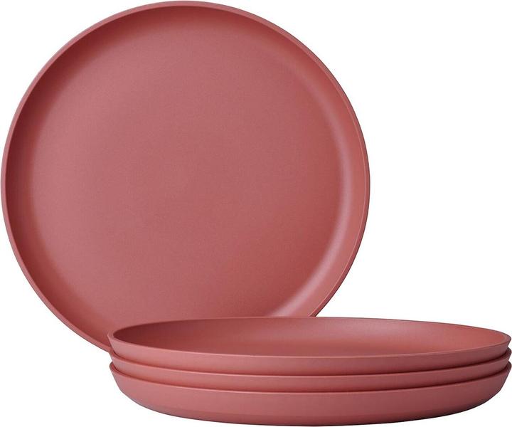 Malva vivace