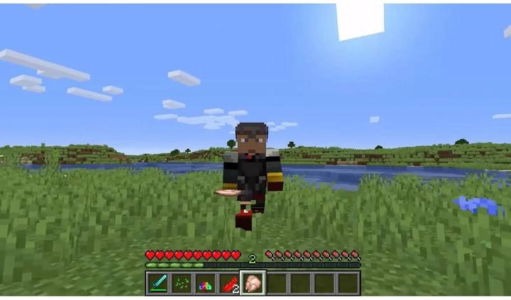 Image du produit Nintendo Minecraft (Switch, Multilingue)