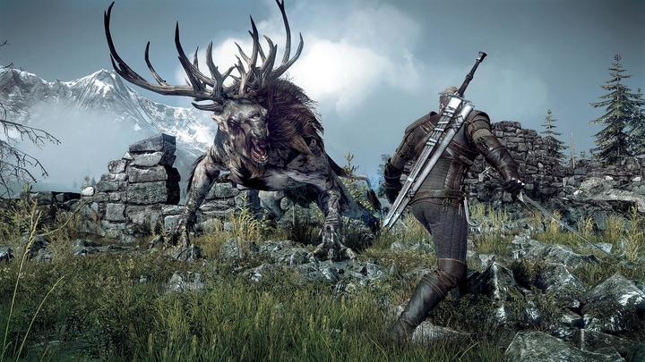 Image du produit The Witcher 3 : Wild Hunt