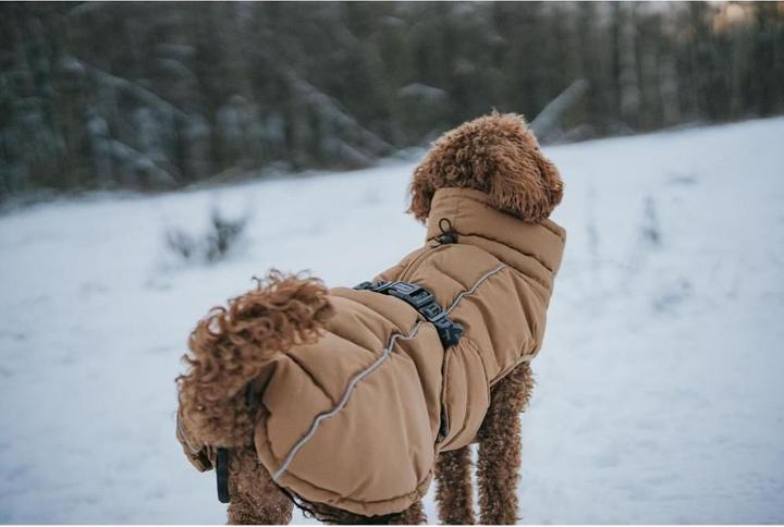 Image du produit Hunter Paxson (36, Manteau pour chien)