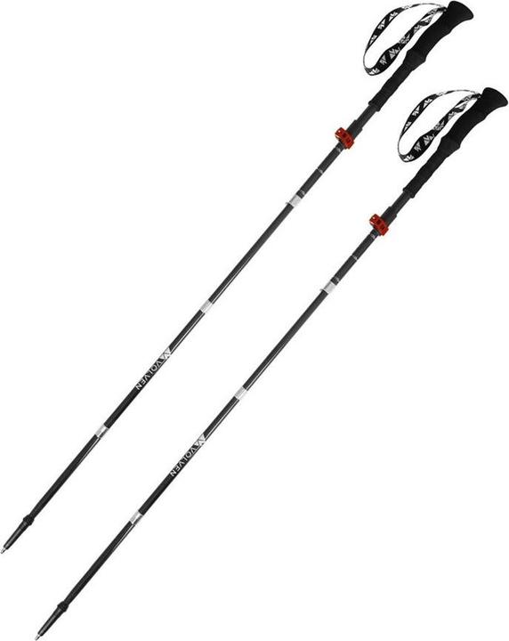 Actual product image Volven Expert Poles carbon-red