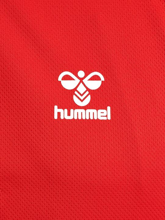 Actual product image hummel Hmlauthentic Pl Zip Jacket (M)