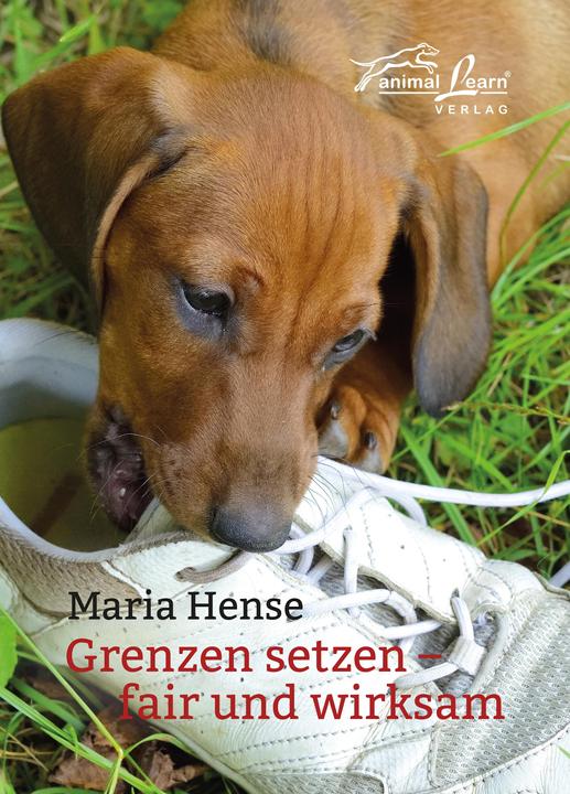 Produktbild Grenzen setzen (Deutsch, Maria Hense, 2020)