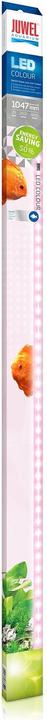 Juwel Aquarium LED couleur (LED, 29 W)