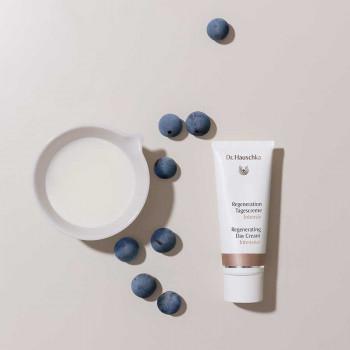 Actual product image Dr. Hauschka Regeneration Day Cream Intensive (40 ml, Day cream)