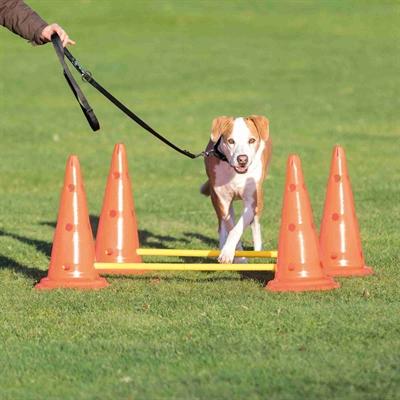Actual product image Trixie dog activity (S, Agility)