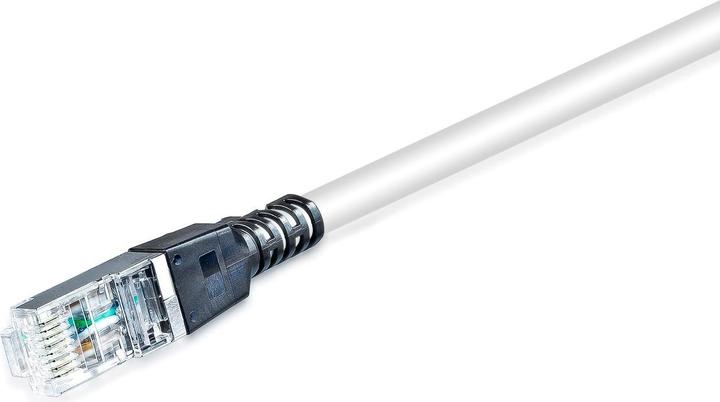 Actual product image Wirewin Patch cord Securelock Cat.6A, 30cm Grey (S/FTP, CAT6a, 0.30 m)