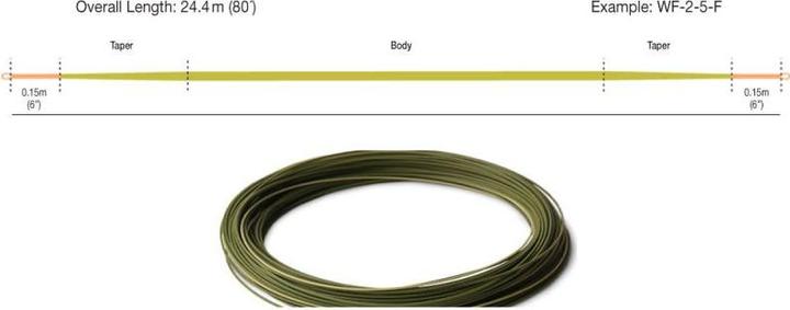 Produktbild Rio Products Euro Nymph Fliegenschnur in Orange/Sage/Olive (#2-5) kaufen