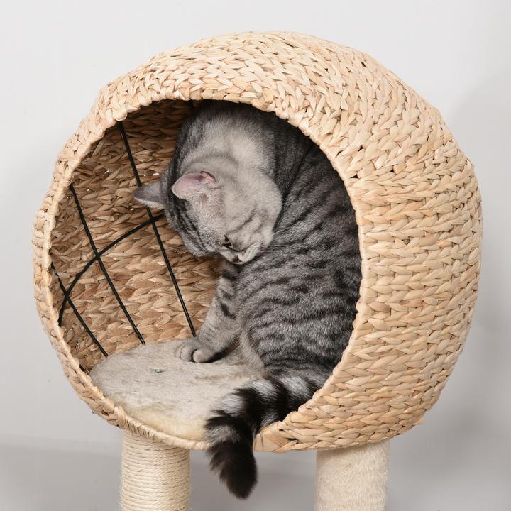 Immagine prodotto PawHut Albero per gatti con grotta (100 cm, Beige)