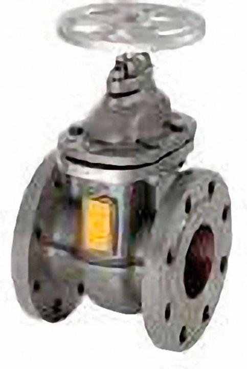 Image du produit Zehnder Pumpen Vanne d'arrêt DN100 pour système de levage