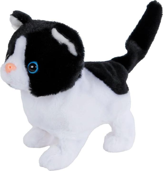 Image du produit Van Manen Veenendaal Take Me Home Chat interactif en mouvement Noir Blanc, 15,5 cm (15.50 cm)