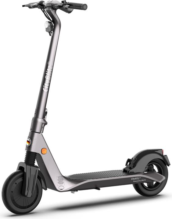 Produktbild CityBlitz CB081SZ Tiger (20 km/h, 25 km, 350 W)