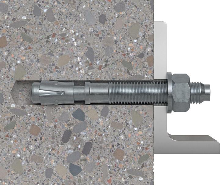 Actual product image Fischer fischerBolts (1 pcs.)