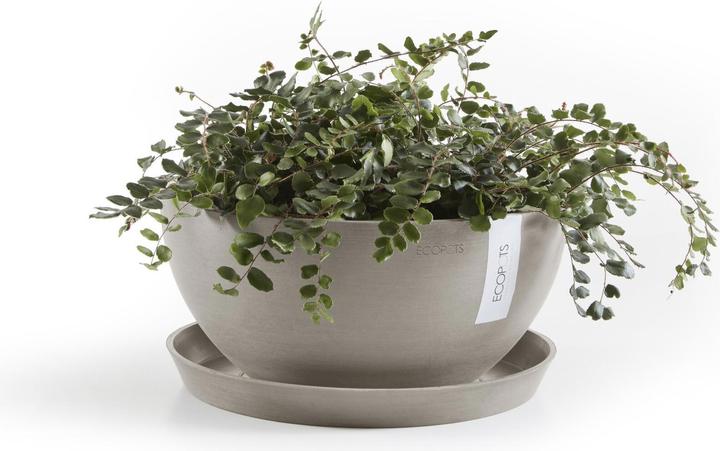 Immagine prodotto Ecopots Piattino rotondo 21