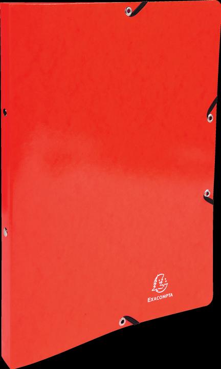 Actual product image Exacompta Ring binders (A4, 20 mm, 1 Piece)