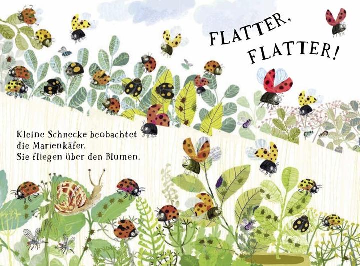 Produktbild Kleine Schnecke und der Garten (Deutsch, Yuval Zommer, 2025)