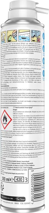 Produktbild Raid Essentials Cold Freeze Spray (Ameisen, Spinnentiere, Schaben)