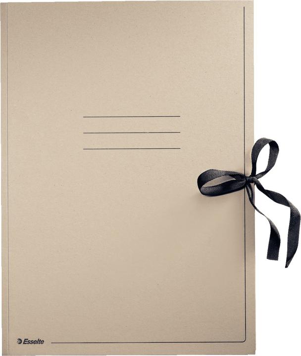 Actual product image Esselte Drawing folder (A2, 1 x)
