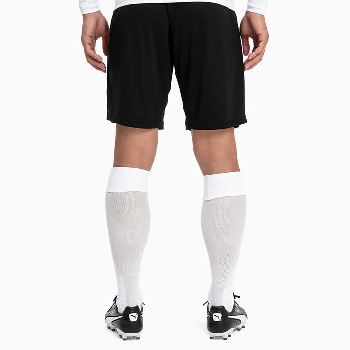 Actual product image Puma Team LIGA Socks-703438 (47, 49)