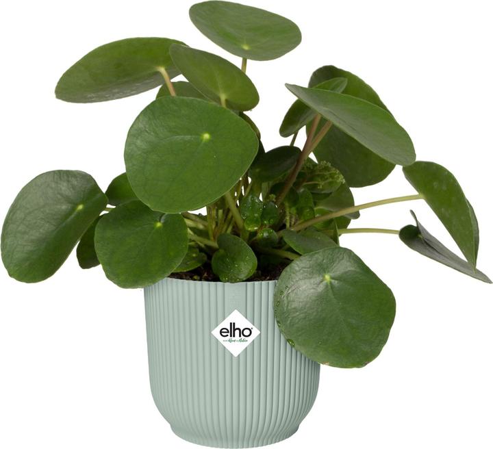 Produktbild Elho Vibes Fold (18.35 cm)