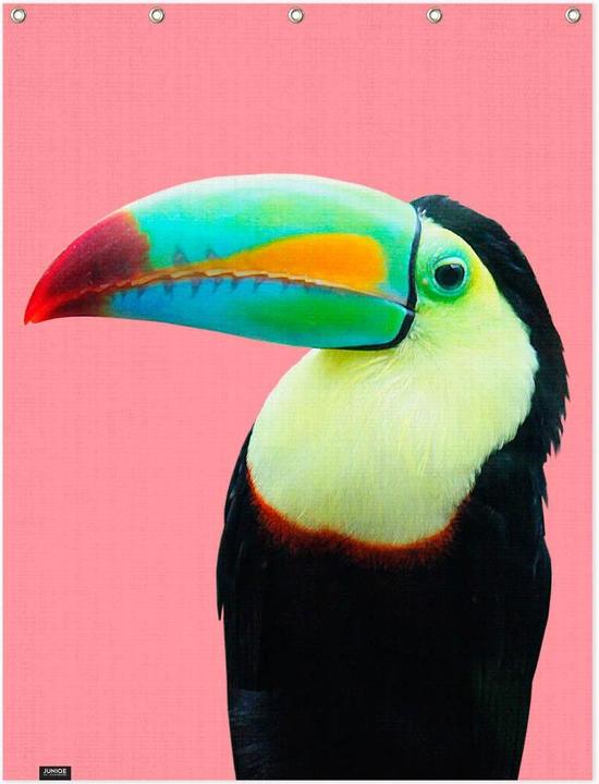 Produktbild Juniqe Tukan-Farbfotografie (150 x 200 cm)