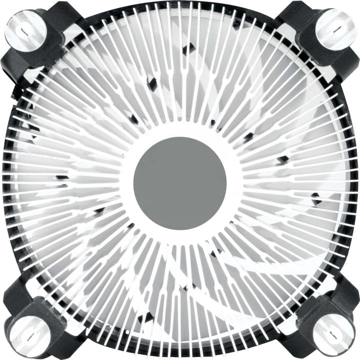 Image du produit Arctic Alpine 17 LP (55 mm)
