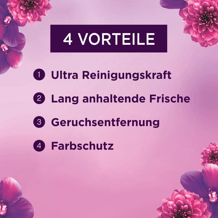 Actual product image Lenor Amethyst Flower Dream (100 Washing cycles, Liquid)